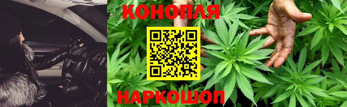 Бошки марихуана план  Вход с VPN  Бошки Шишки ГИДРОПОН  Томск  Бошки марихуана Ganja  Бошки Шишки семена 